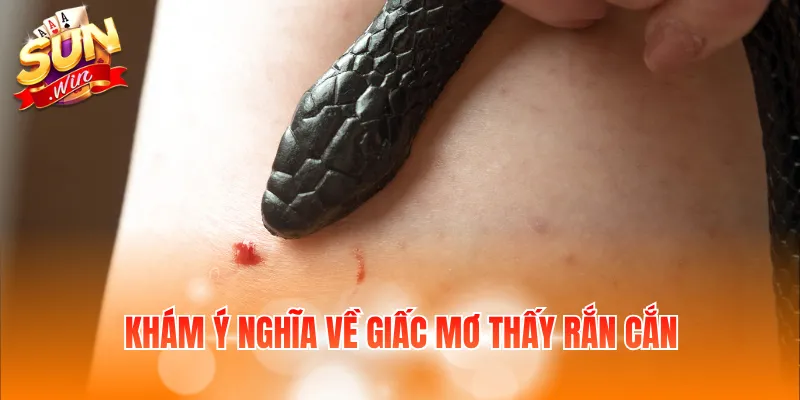 Khám ý nghĩa về giấc mơ thấy rắn cắn